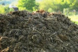 Kraal Manure 30 cubes