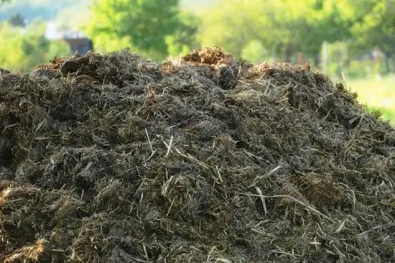 Kraal Manure 30 cubes